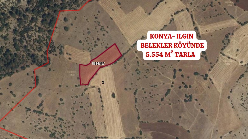 KONYA ILGIN BELEKLER KÖYÜNDE 5.554 M² TARLAMIZ SATILIKTIR. - KONYA ILGIN fotoğraf 4